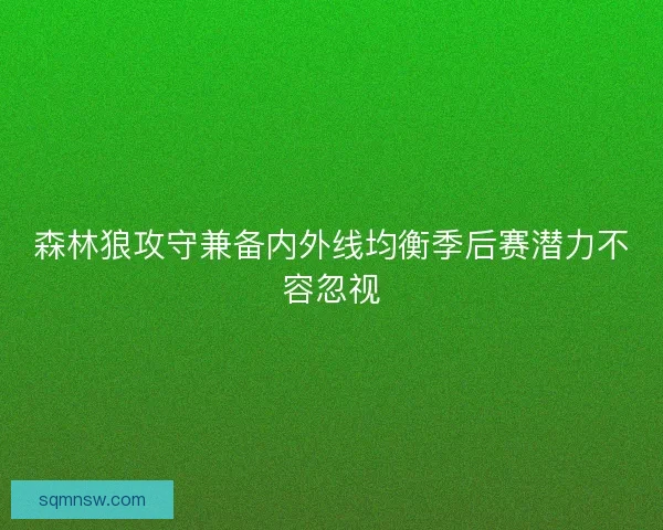 森林狼攻守兼备内外线均衡季后赛潜力不容忽视