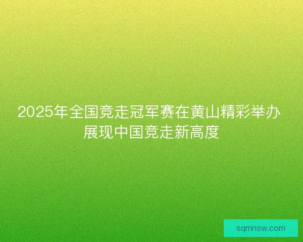 2025年全国竞走冠军赛在黄山精彩举办 展现中国竞走新高度