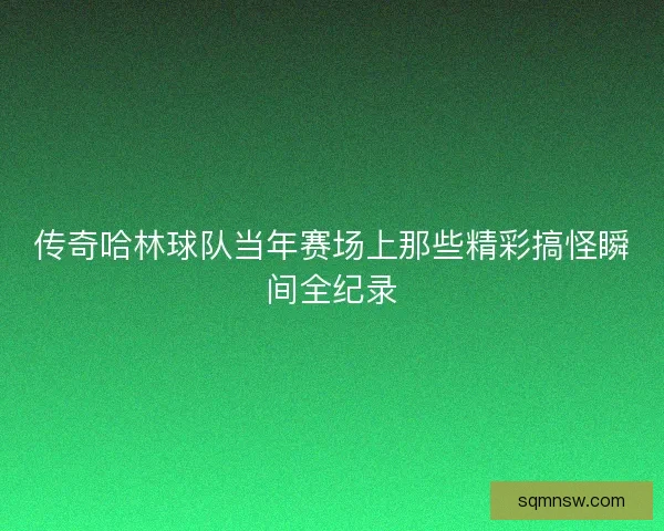 传奇哈林球队当年赛场上那些精彩搞怪瞬间全纪录 传奇哈林球队当年赛场上那些精彩搞怪瞬间全纪录