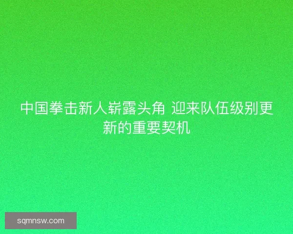 中国拳击新人崭露头角 迎来队伍级别更新的重要契机